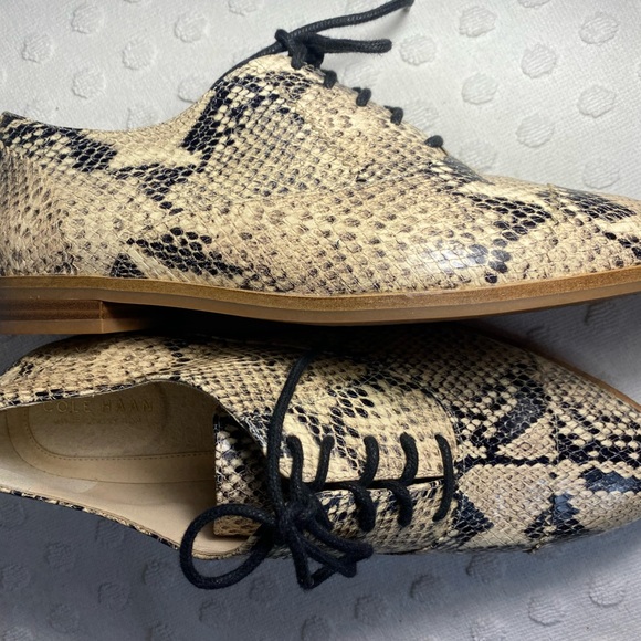 COLE HAAN Modern Classic Oxford - Python Printed Leather - Picture 10 of 16